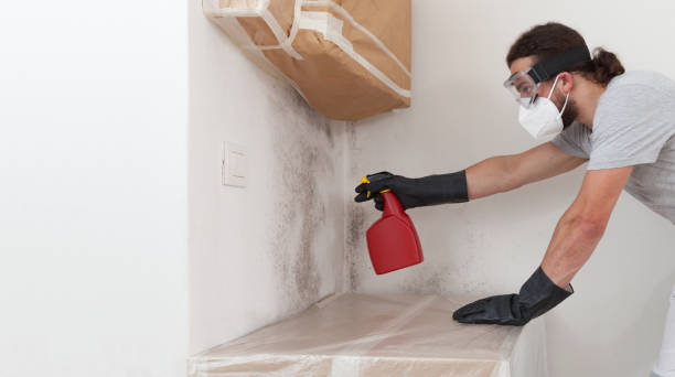 Professional Mold Removal technician working in Fayetteville, TN