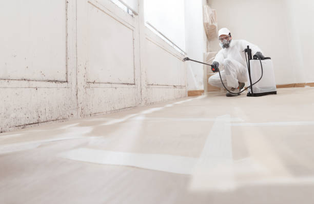 24/7 Emergency Mold Removal experts in Fayetteville, TN